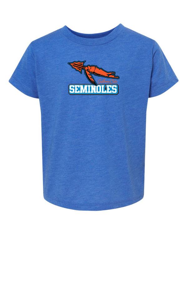 Toddler blue tee (front)