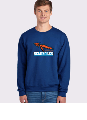 Blue sweatshirt (front)