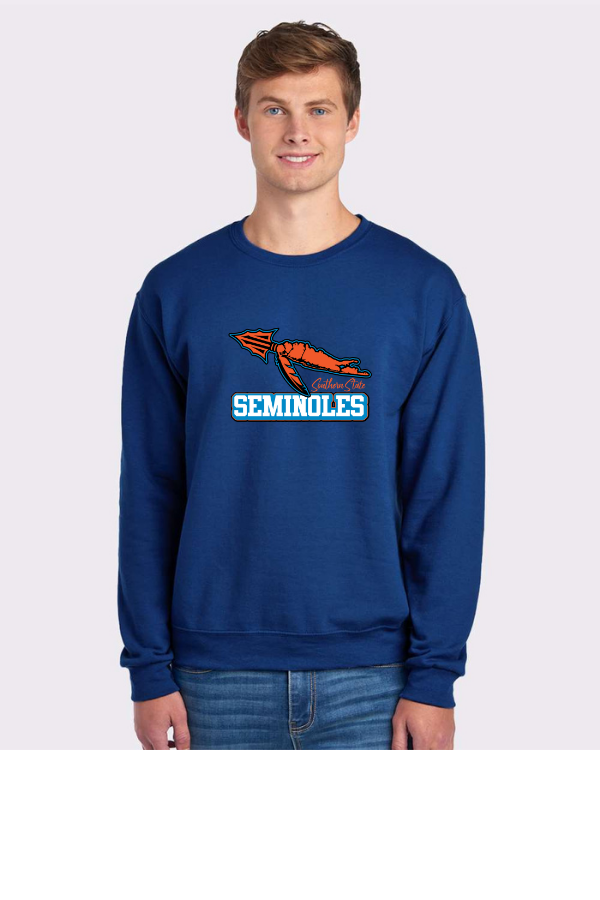 Blue sweatshirt (front)