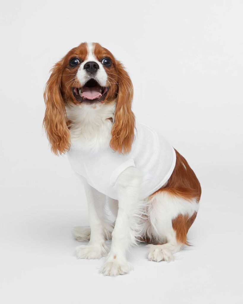 Doggie tank top